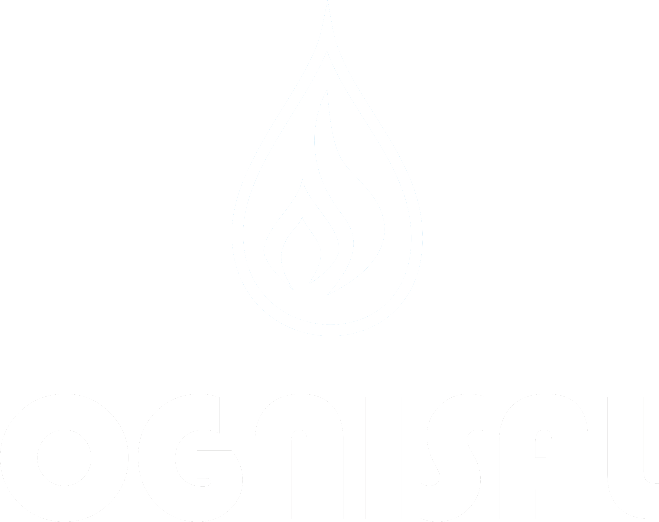 Ognisal Szkolenia